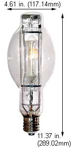 H.I.D. Metal Halide BT37 - ED37 MS1000W/BU/BT37/PS/4K