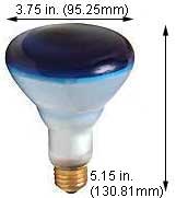 Incandescent Colored Reflector - Par 75R30B