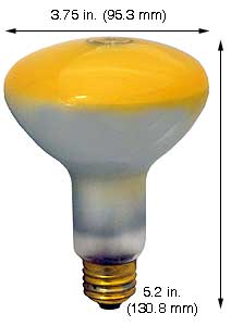 Incandescent Colored Reflector - Par 75R30Y