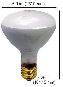 Incandescent Incandescent BR40 300R3FL/RS ROUGH SERVICE