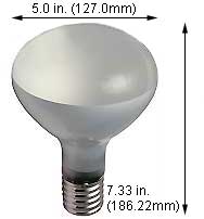Incandescent Incandescent R40 300R3FL/RS