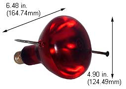Incandescent Infrared Heat Par Type Safe Shield 250BR40/10/SSFC