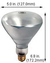 Incandescent Incandescent BR40 250BR40/1 250V CLEAR E27
