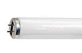 Fluorescent Fluorescent Tubes T12 Medium BiPin F20T12SPEC30