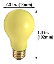Incandescent Incandescent A19 25A99Y