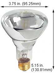 Incandescent Incandescent R30 100R30/CL