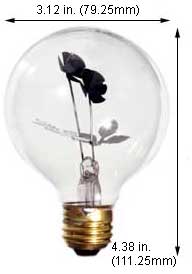 Incandescent Incandescent G25 G25 LONG STEM FLOWER