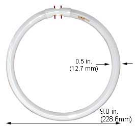 Fluorescent Compact Fluorescent Circline FC9T5/841  