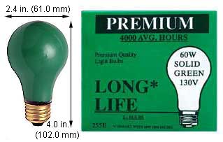 Incandescent Incandescent A19 60A99G