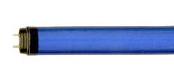 Fluorescent Fluorescent Safe-Shield T8 Medium BiPin F17T8/BLUE  JACKETED