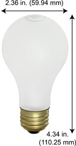 Incandescent Incandescent A19 100A19