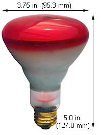 Incandescent Colored Reflector - Par 65BR30FL/R