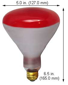 Incandescent Colored Reflector - Par 120BR40R