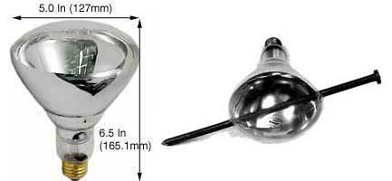Incandescent Infrared Heat Par Type Safe Shield 120BR40FL/SSFC 130V