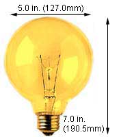 Incandescent Incandescent G40 25G40/TY