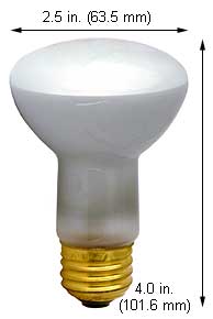 Incandescent Incandescent R20 100R20SP/SS