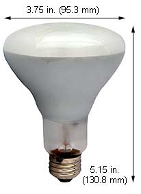 Incandescent Incandescent R30 110BR30RS/SS 