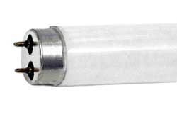 Fluorescent Fluorescent Tubes T9 Medium BiPin F20T9CW